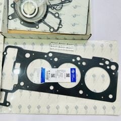 Bộ gioăng đại tu động cơ, bộ ron máy Mercedes E-Class W211 (E240, E320), C-Class W203 đời 2000 - 2009. Hàng Frey, động cơ M112 V6. Mã A1120160420, A1120160320