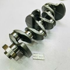 Trục cơ BMW Series 3, 4, 5 (F30, F31, F34, F32, F33, F36, F10, F11), X (E84), Z (E89). Đời 2012 - 2016. Hàng lượng cao. Động cơ N20, N26. Mã 84210300311, 11212206497