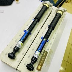 Giảm xóc sau hay phuộc sau liền tăm bông bát bèo Mercedes W204 C200, C250, C350, C300 đời 2007 - 2014. Hàng Frey. Mã 2043200131 ( 1 cái )