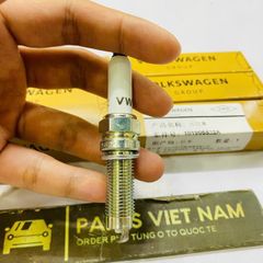Bugi Iridium Audi A6, A8, Q7, Porsche Cayenne, Volkswagen Touareg, Passat CC (3.0 TFSI / 3.6 FSI). Đời 2008 - 2018. Hàng Volkswagen OEM. Mã 101905622A ( 1 cái )