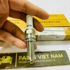 Bugi Iridium Audi A6, A8, Q7, Porsche Cayenne, Volkswagen Touareg, Passat CC (3.0 TFSI / 3.6 FSI). Đời 2008 - 2018. Hàng Volkswagen OEM. Mã 101905622A ( 1 cái )