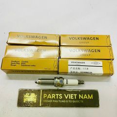 Bugi Iridium Audi A6, A8, Q7, Porsche Cayenne, Volkswagen Touareg, Passat CC (3.0 TFSI / 3.6 FSI). Đời 2008 - 2018. Hàng Volkswagen OEM. Mã 101905622A ( 1 cái )