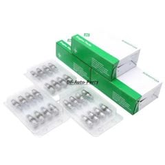 Bộ 24 Con Đội Xupap Thủy Lực INA BMW 325i, 528i, X5 (2005-2011) - Mã 11337548690, 420023610