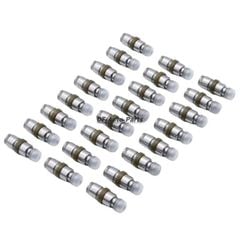 Bộ 24 Con Đội Xupap Thủy Lực INA BMW 325i, 528i, X5 (2005-2011) - Mã 11337548690, 420023610