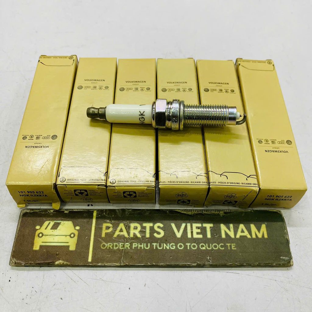 Bugi đánh lửa Audi Q7, Porsche Cayenne, Volkswagen Touareg, Passat động cơ 3.2L, 3.6L FSI. Đời 2005 - 2018. Hàng OEM. Mã 101905622, 95517022090