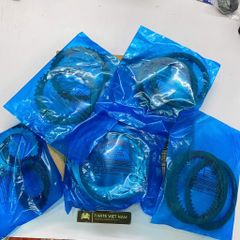 Bộ lá côn đại tu hộp số tự động 722.6 (5 cấp) cho Mercedes C180 W203, E200 E240, E280 W210 W211, S320, S400 W222, CLK W208 W209, CLS C219, M320, ML430 W163, Chrysler 300, Dodge Charger, Jeep Grand Cherokee, SsangYong Musso. Hàng Transpeed T141080C