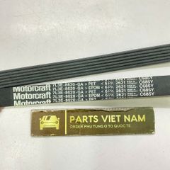 Dây curoa tổng, Dây đai V Ford Expedition, F-150 (New Style), Lincoln Navigator, Mark LT đời 2004 - 2008. Hàng Motorcraft/Ford Chính hãng đặt 18 ngày, động cơ 5.4L V8 và 4.6L V8. Mã 7L3Z-8620-D, 7L1Z-8620-A, 7L3Z-8620-A