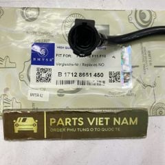 Ống nước hồi, ống nước bình phụ Bmw F10, F11 520i, 528i, 528i xdrive đời 2010 - 2017. Động cơ N20. Mã 17128651450, 17127619696