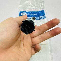 Van biến thiên (VCT Solenoid) Ford F-150, Expedition, Mustang, Explorer 4.6L/5.4L 3V đời 2004-2014. Đặt hàng 8 - 12 ngày. Mã 8L3Z-6M280-B, 8L3Z6M280B