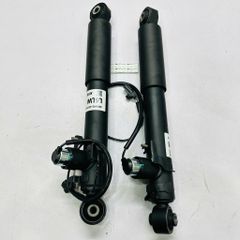 Giảm xóc sau điện, phuuộc nhún AVS Lexus RX350, RX450h đời 2015 - 2020. Hàng chất lượng cao China. Mã 4853048392 trái và 4854048392 phải ( 1 cây )