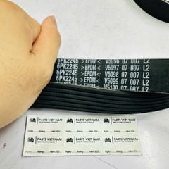 Dây curoa tổng Nissan XTrail T30 , Teana J31 Động cơ QR20 / QR25 đời 2001 - 2008. Hàng Mitsuboshi Japan. Mã 117206N200, 6PK2245, 6PK2247