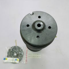 Bóng hơi giảm xóc hay phuộc nhún sau Mercedes W166, W164, ML 400, ML 250, ML 300, ML 350, GL 500, GL 450 đời 2005 - 2015. Hàng Bisltein China. Mã A1643200725, A1643201025, A1663200325