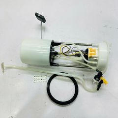 Cụm bơm xăng (bơm nhiên liệu) Audi Q5 3.2L V6 đời 2009 - 2012. Hàng Hella Âu. Mã 8R0919051N, 8R0919051K, 8R0919051A, 8R0919051B