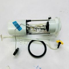 Cụm bơm xăng (bơm nhiên liệu) Audi Q5 3.2L V6 đời 2009 - 2012. Hàng Hella Âu. Mã 8R0919051N, 8R0919051K, 8R0919051A, 8R0919051B