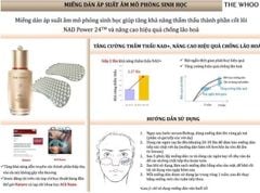 [MỚI] Set Tinh Chất Tự Sinh Chống Lão Hóa Whoo Bichup Ultimate Recovery Youth Serum Special Set