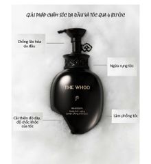 Dầu Gội Chống Lão Hóa Ngăn Ngừa Rụng Tóc THE WHOO Whoospa Scalp Anti-Aging & Hair Lifting Shampoo 350ml