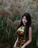  SƯỜN XÁM NHUNG LỬNG VÀNG 