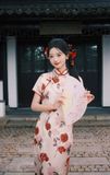  SƯỜN XÁM DÀI HỒNG THUỶ YÊN 