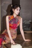  SƯỜN XÁM DÀI VĂN PHỒN HOA 