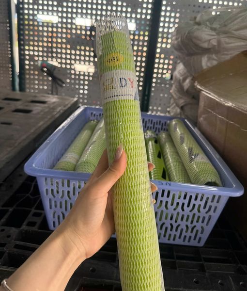 Mũi Khoan Rút Lõi 254x350mm DCA, Mũi Khoan Rút Lõi 254x350mm Dongcheng, Mũi Khoan Rút Lõi 254x350mm Maitai, Mũi Khoan Rút Lõi 254x350mm Bosun