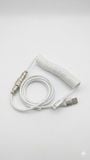  [Instock] Dây Cáp Xoắn Bàn Phím Cơ USB Type-C | 1.5-2.5m | Hỗ trợ 8k 