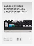  [Pre Order] NEO75 Prebuilt 