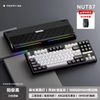 [Pre Order] Nut87 Keyboard | Ball Catch | 3 Mode RGB | 8k Pollingrate 