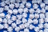  Switch HMX Hydra  | Tactile 50g | Công tắc bàn phím cơ | TKS 