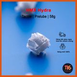  Switch HMX Hydra  | Tactile 50g | Công tắc bàn phím cơ | TKS 