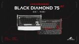  [Instock] Black Diamond RT Keyboard 