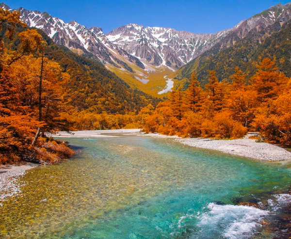  OSAKA – KYOTO – SHIRAKAWAGO – FUJI – TOKYO – NARITA 6N5Đ | BAY VIETNAM AIRLINES 