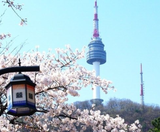  BUSAN – SEOUL – LOTTE WORLD 5N5Đ | BAY VIETJET AIR 