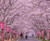  SHIRAKAWAGO – CUNG ĐƯỜNG VÀNG 6N5Đ  | BAY VIETNAM AIRLINES 