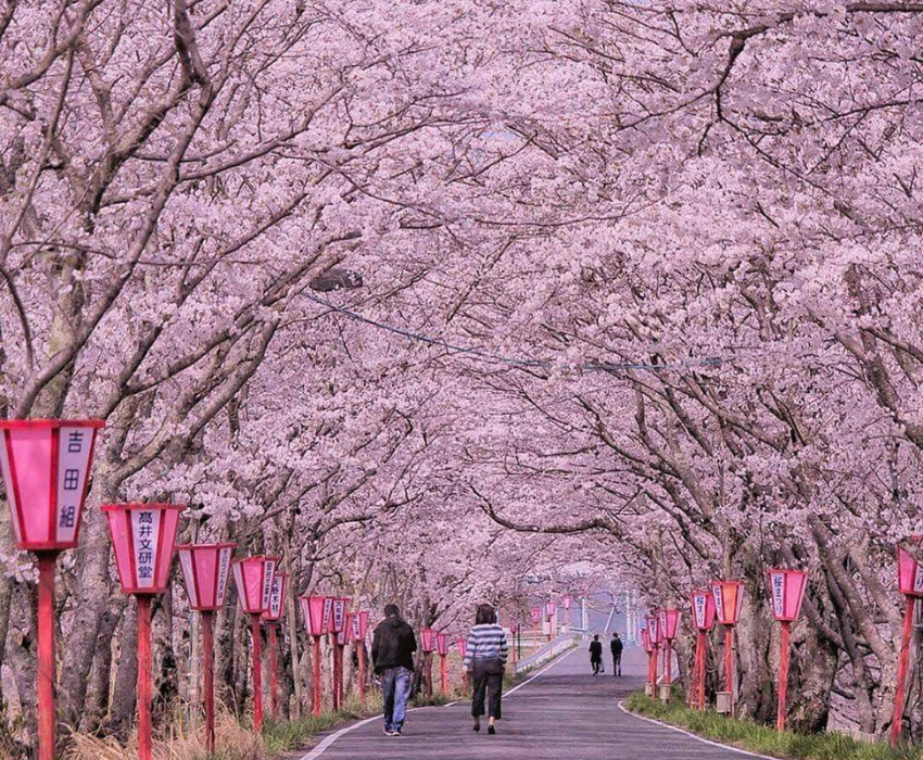  SHIRAKAWAGO – CUNG ĐƯỜNG VÀNG 6N5Đ  | BAY VIETNAM AIRLINES 