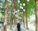  BUSAN – SEOUL – LOTTE WORLD 5N5Đ | BAY VIETNAM AIRLINES 