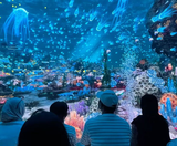  SEOUL – NAMI – LOTTE WORLD – LOTTE AQUARIUM 4N3Đ | BAY VIETNAM AIRLINES 
