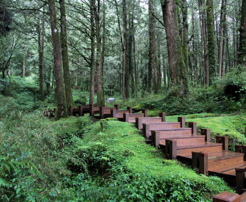  ĐÀI BẮC – ĐÀI TRUNG – NAM ĐẦU – GIA NGHĨA – A LÝ SƠN 5N5Đ  | BAY EVA AIR 