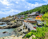  BUSAN – SEOUL – NAMI – LOTTE WORLD 5N5Đ  | BAY VIETJET AIR 