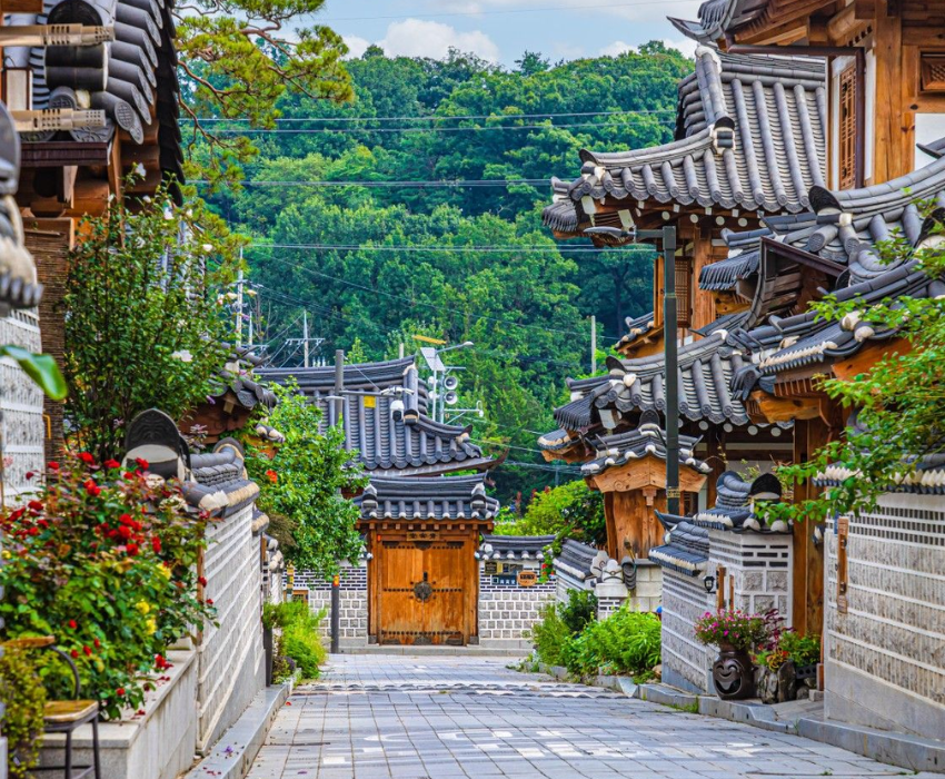  SEOUL-GANGNEUNG-CUNG ĐƯỜNG ANH ĐÀO 5N5Đ  | BAY ASIANA AIRLINES 