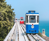  BUSAN – DAEGU – SEOUL 5N5Đ | BAY VIETNAM AIRLINES 