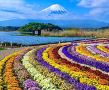  NAGOYA–HAKONE–FUJI MOUNT–TOKYO–NAGOYA 5N4Đ  | BAY VIETNAM AIRLINES 