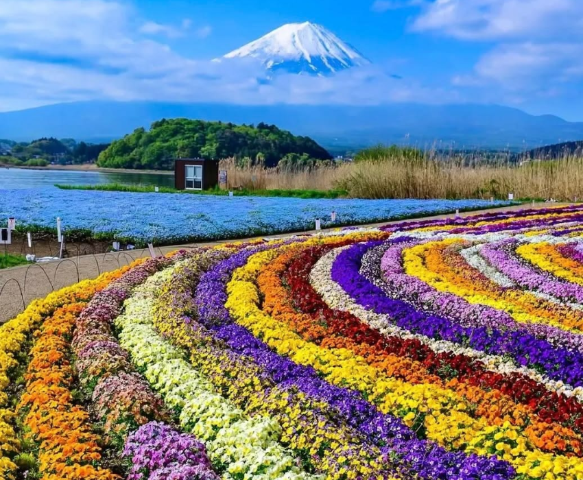  NAGOYA–HAKONE–FUJI MOUNT–TOKYO–NAGOYA 5N4Đ  | BAY VIETNAM AIRLINES 