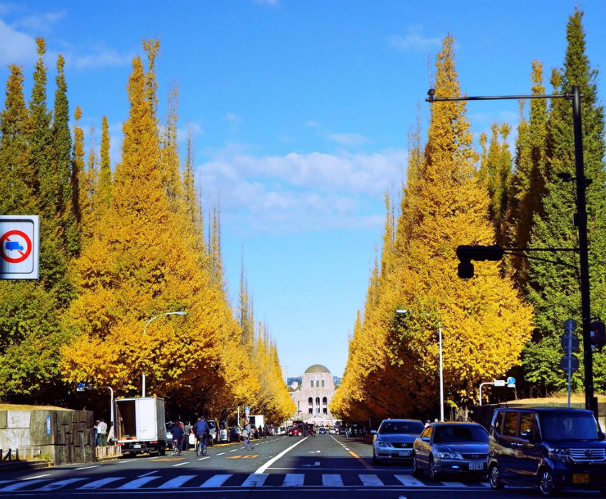  CUNG ĐƯỜNG VÀNG - NARITA – TOKYO – YAMANASHI – FUJI –KYOTO – KOBE – OSAKA 6N5Đ I BAY VIET NAM AIRLINES 