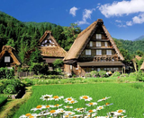  SHIRAKAWAGO - CUNG ĐƯỜNG VÀNG - OSAKA – GIFU – NAGANO – YAMANASHI – FUJI – TOKYO – NARITA 6N5Đ | BAY VIETNAM AIRLINES 
