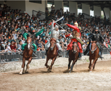  DISNEYLAND - THƯỢNG HẢI – TÔ CHÂU – VÔ TÍCH Ô TRẤN – HÀNG CHÂU 5N4Đ | BAY VIETNAM AIRLINES 