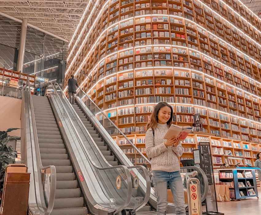  SEOUL-GANGNEUNG-CUNG ĐƯỜNG ANH ĐÀO 5N5Đ  | BAY ASIANA AIRLINES 