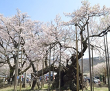  CUNG ĐƯỜNG VÀNG 6N5Đ  | BAY VIETNAM AIRLINES 