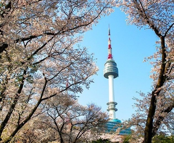  SEOUL – NAMI – EVERLAND 4N4Đ | BAY VIETNAM AIRLINES 