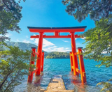  Kamogawa Seaworld - NARITA – TOKYO  – FUJI – YOKOHAMA - NARITA 5N4Đ | BAY VIETNAM AIRLINES 