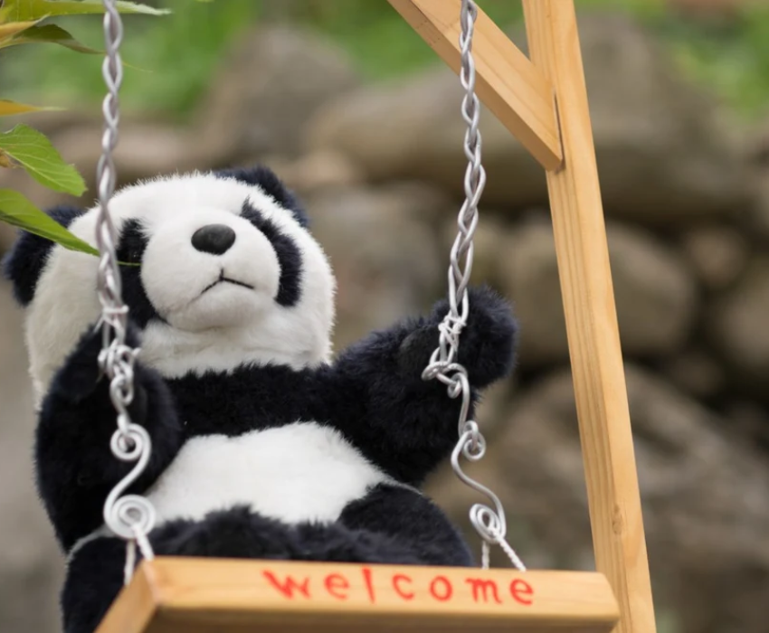  NO SHOPPING - TRÙNG KHÁNH 4N4Đ  | BAY AIR CHINA 